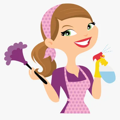 SimpleNeat Cleaning