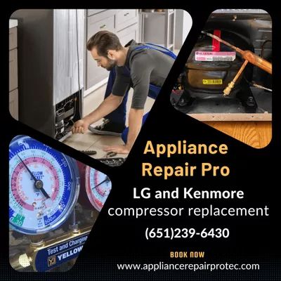 LG Refrigerators Repair