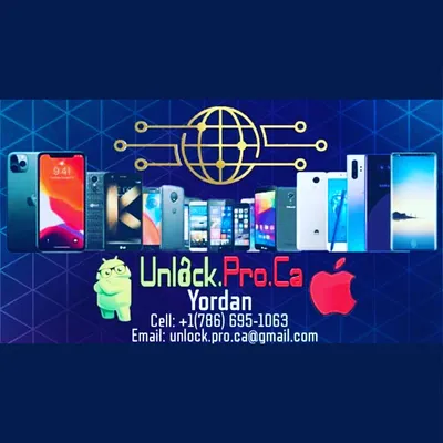 UNLOCK PRO CA INC