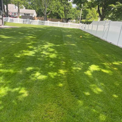 Rose Landscaping & lawn service
