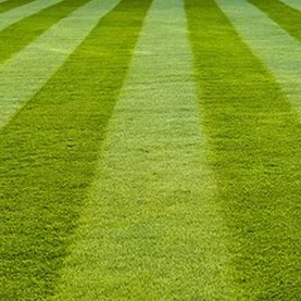 Corey's Lawn Maintenance