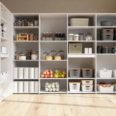 Dream Home Organization and Declutter