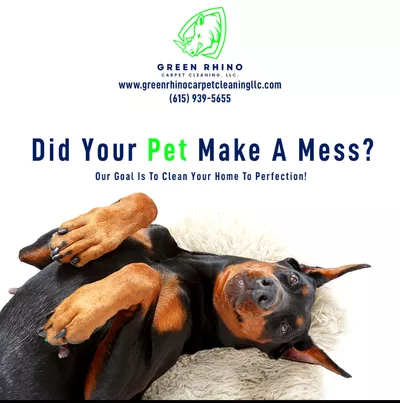 Green Rhino Carpet Cleaning LLC