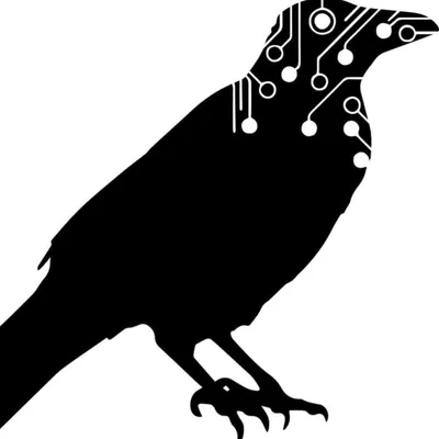 Corvidae Computers