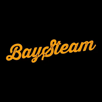 Bay steam carpet care