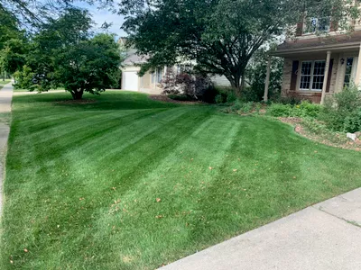 Deal Lawncare & Maintenence