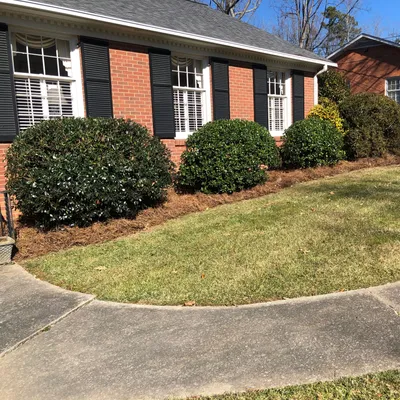 Taylor's Lawn and Garden Services