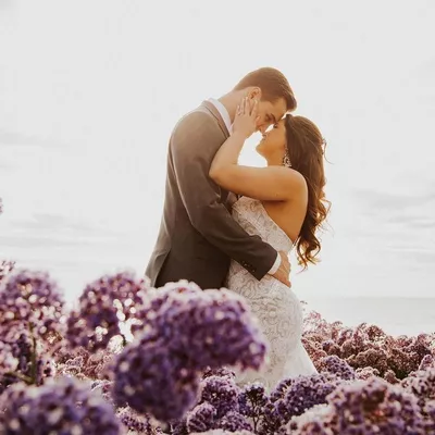 Lindsey Alter Photography
