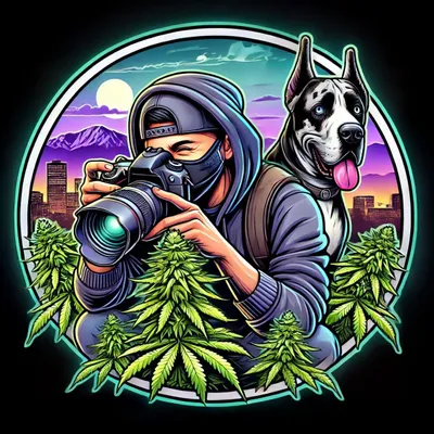 The Closeted Garden