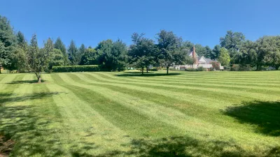 Clippers Tree & Lawn Care