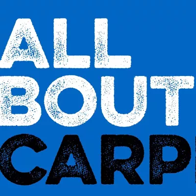 All Bout Carpet LLC