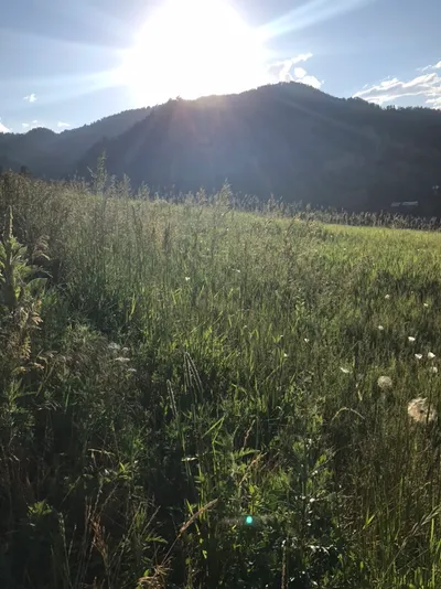 Jp Mowing