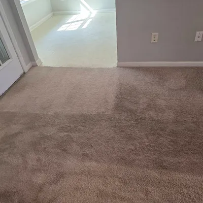 North Point Carpet Cleaning