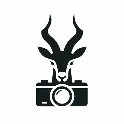 Saola photography