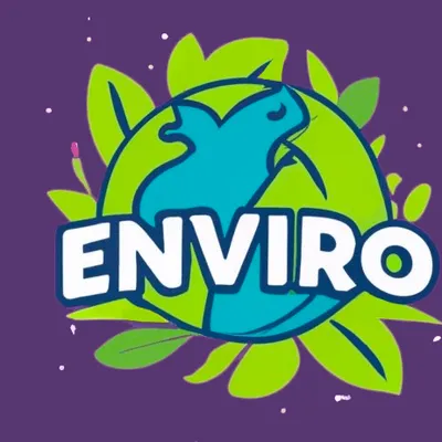 Envirocarpet Clean LLC