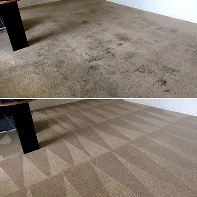 Carpet cleaning organic ♻️