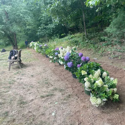 Carias Landscaping & Construction Inc