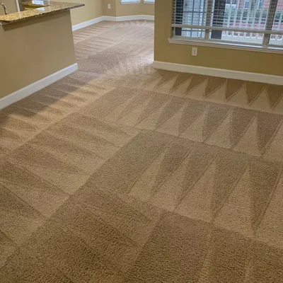 Fresh Carpet