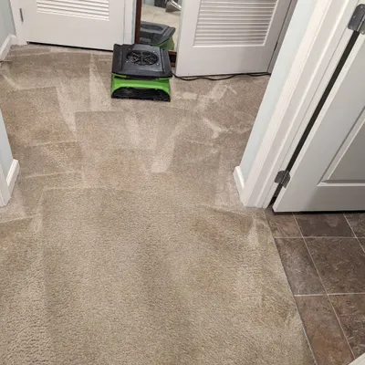 Breathe Right Carpet