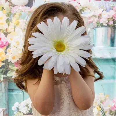 Gina Marie Photography