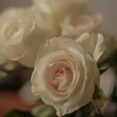 Soulfulphotos by Nadia