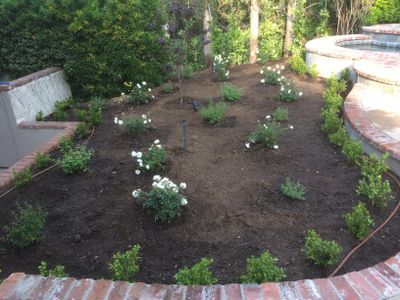 Gabriel's Lawn n Landscape services