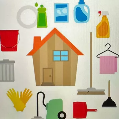 Lady Day Cleaning