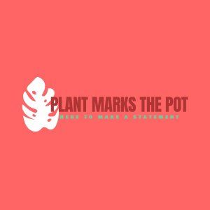 Plant Marks The Pot