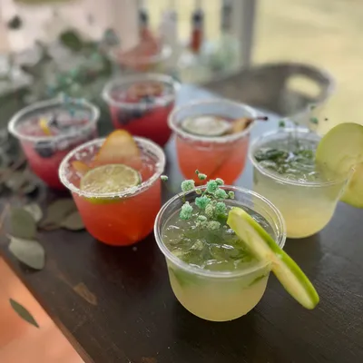 Shake and Pour Mobile Bartending