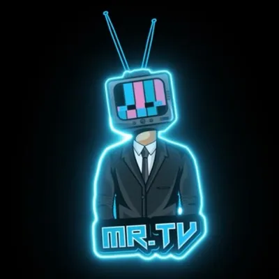 MR TV Mounting & Wire Concealment
