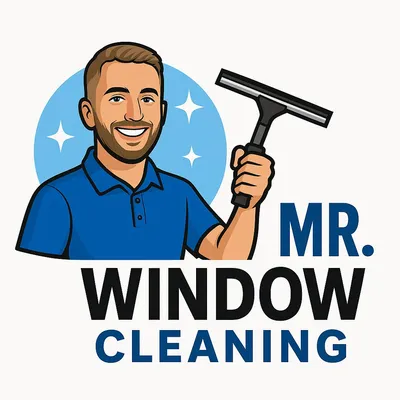 Mr. Window Cleaning