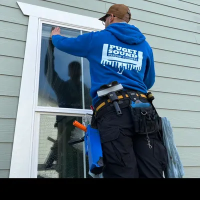 Puget Sound window cleaners