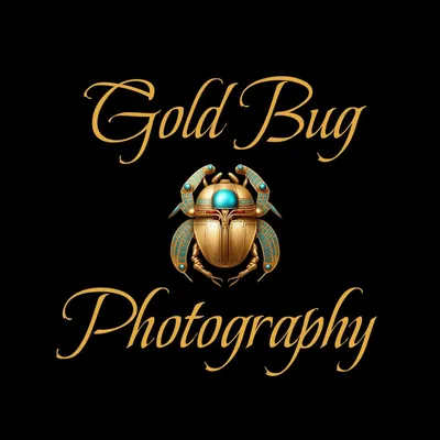 Gold Bug Photography