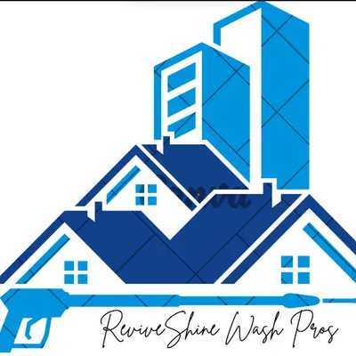 ReviveShine Wash Pros