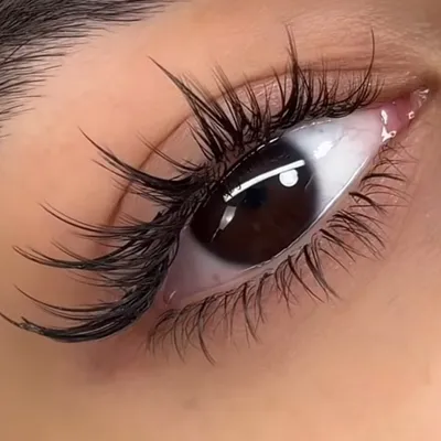 WinkyWispyLashes