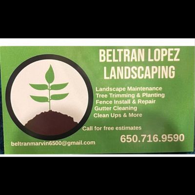 Beltran Landscape and tree services