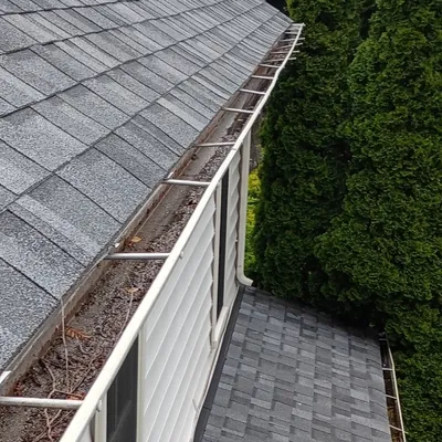 great gutter genie