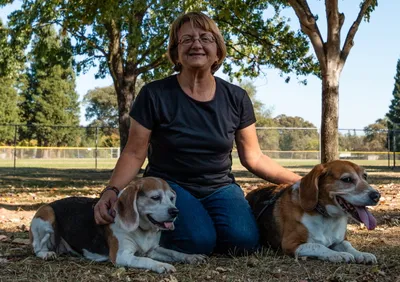 Value Dog Training
