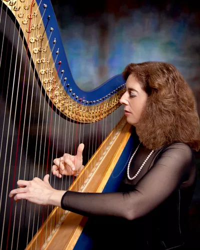 Harpnotes