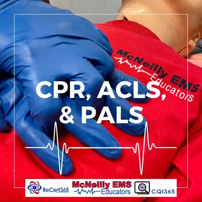 McNeilly EMS Educators, Inc.