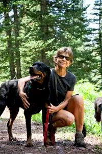 Aarf Pet Care