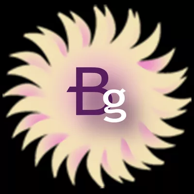 BarisGraphics Freelance Graphic Design