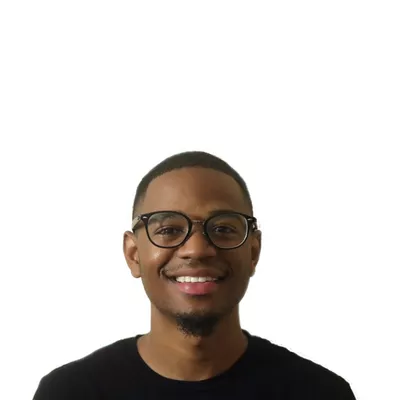 Mike Nelson llc