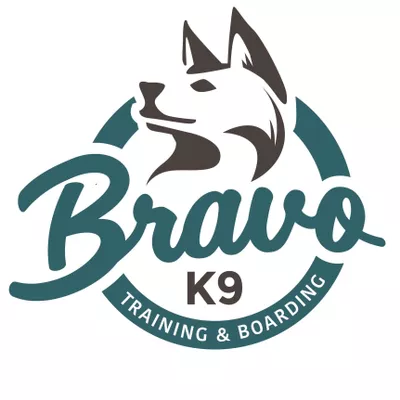 Bravo K9 Training & Boarding