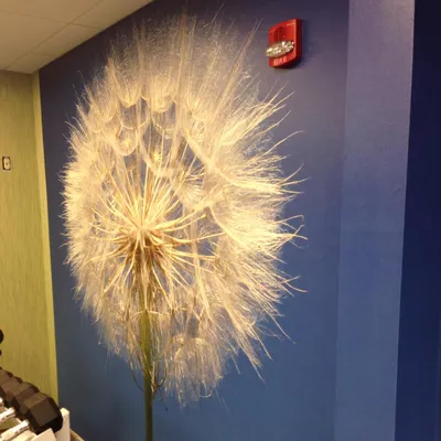 Coutino wallcovering