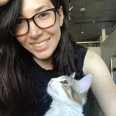 The Happy House Cat