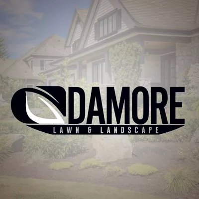 DaMore Lawn and Landscape