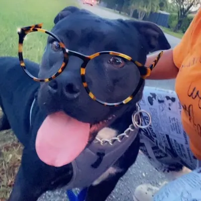 TFB_Pawz??