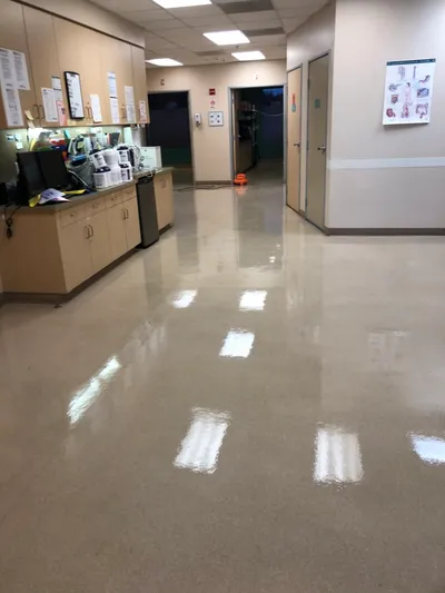Above The Rest Janitorial Services