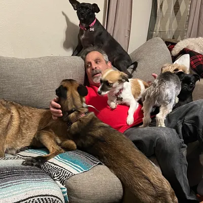 Doggone Cindy's